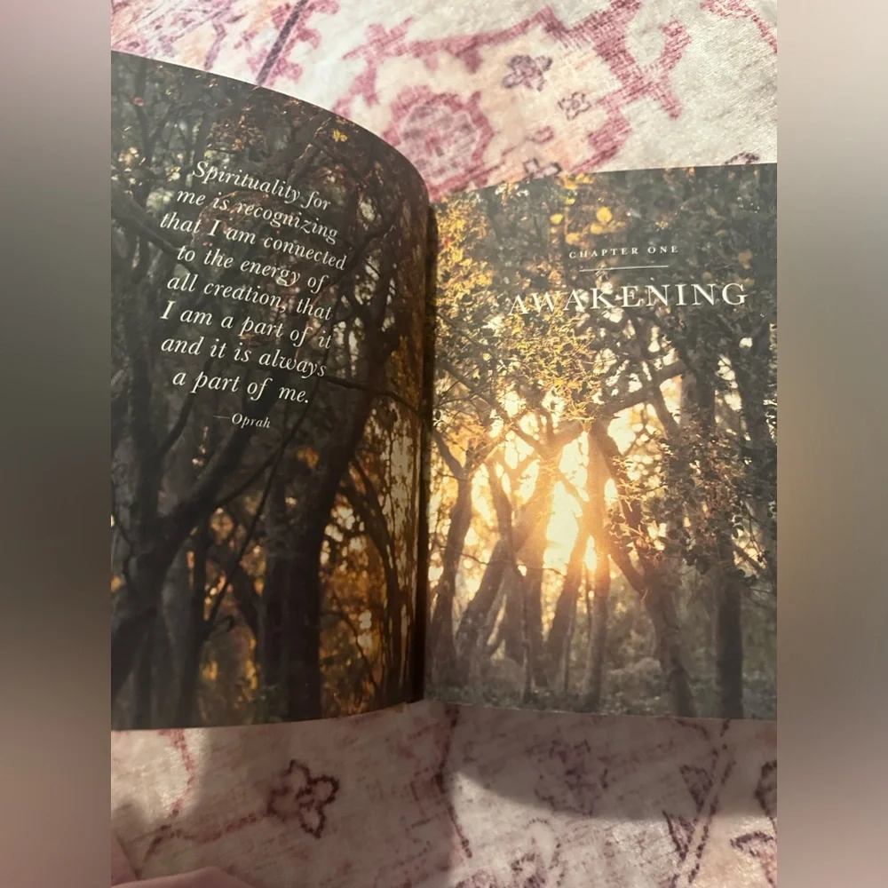 The Wisdom of Sundays: Life-Changing Insights from Super Soul Conversations